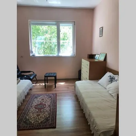Compact City Center Apartment Apartment